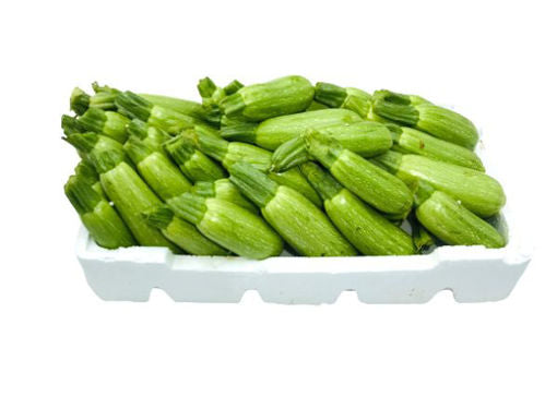 Marrow Box Approx 5kg UAE π¦πͺ