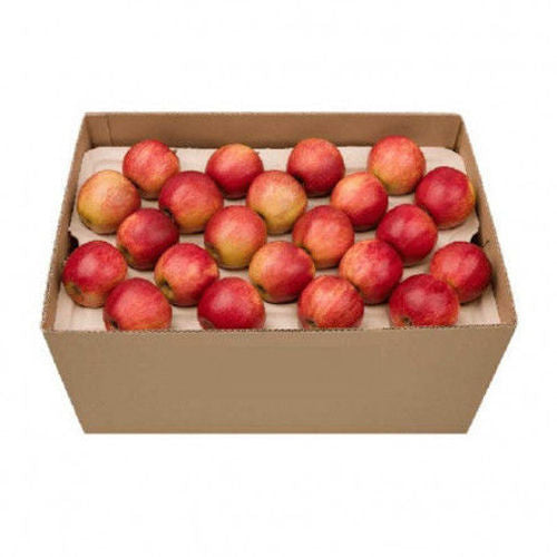 Apple Royal Gala Box 18 kg