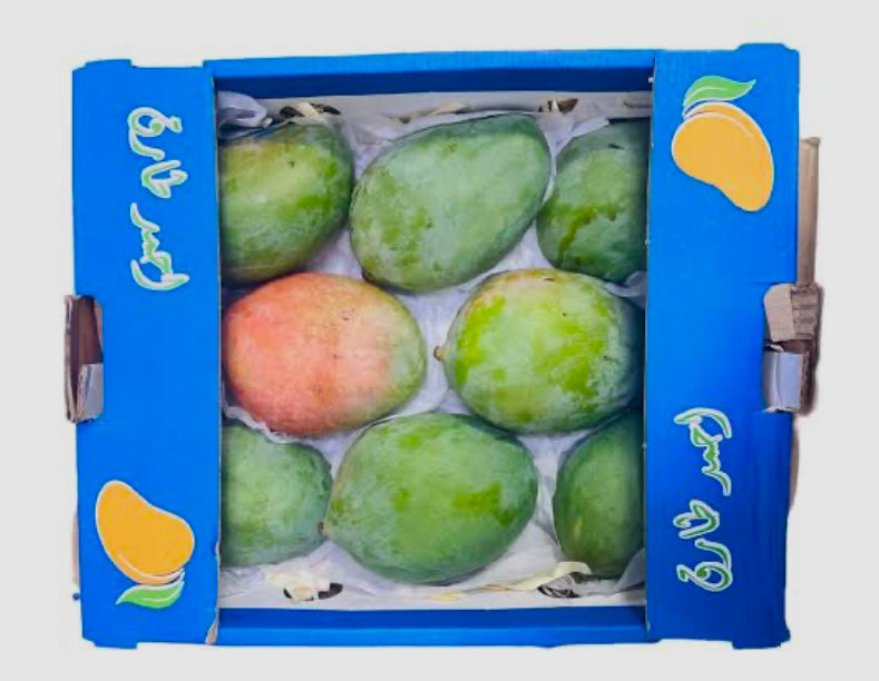 Mango Kent premium 3 kg Egypt πͺπ¬