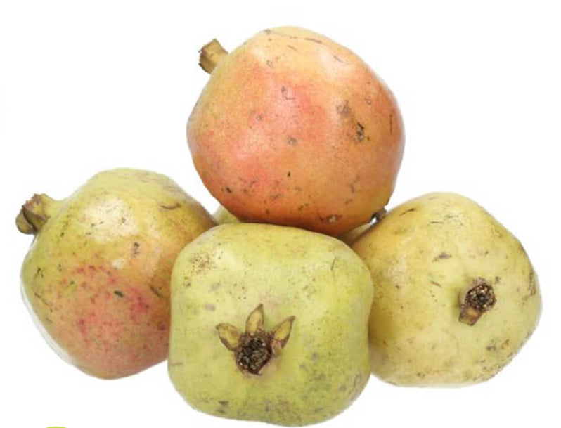 Pomegranate Approx 2-3 pieces per kg Yemen πΎπͺ