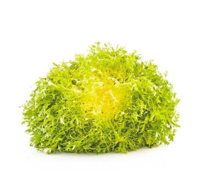 Yellow Lettuce Frisee per piece
(Netherlands)π³π±