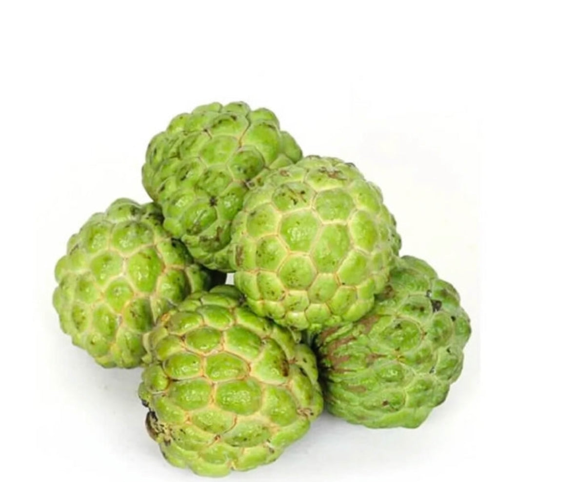 Custard apple 2.5 kg box India ๐ฎ๐ณ