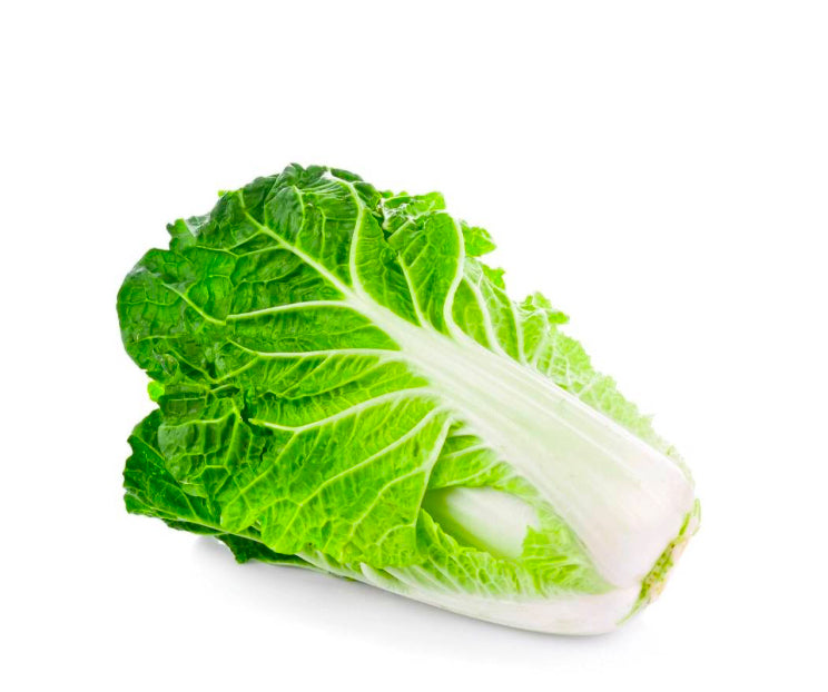 Cabbage Chinese
(Netherlands)π³π±
Approx 900gm-1200gm per piece
