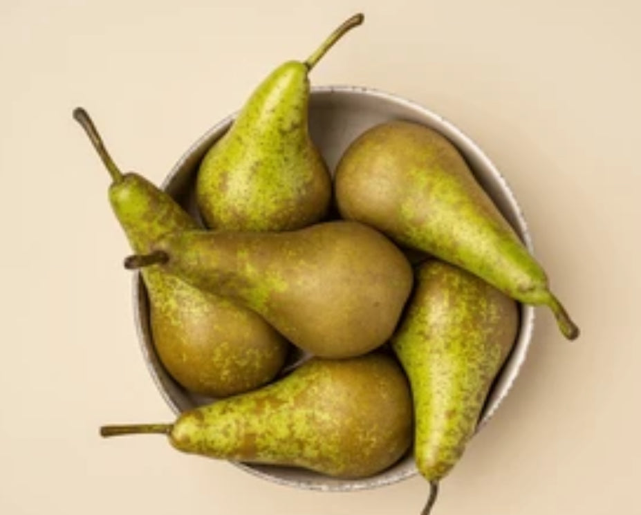 conference pear (1kg) Netherlands π³π±