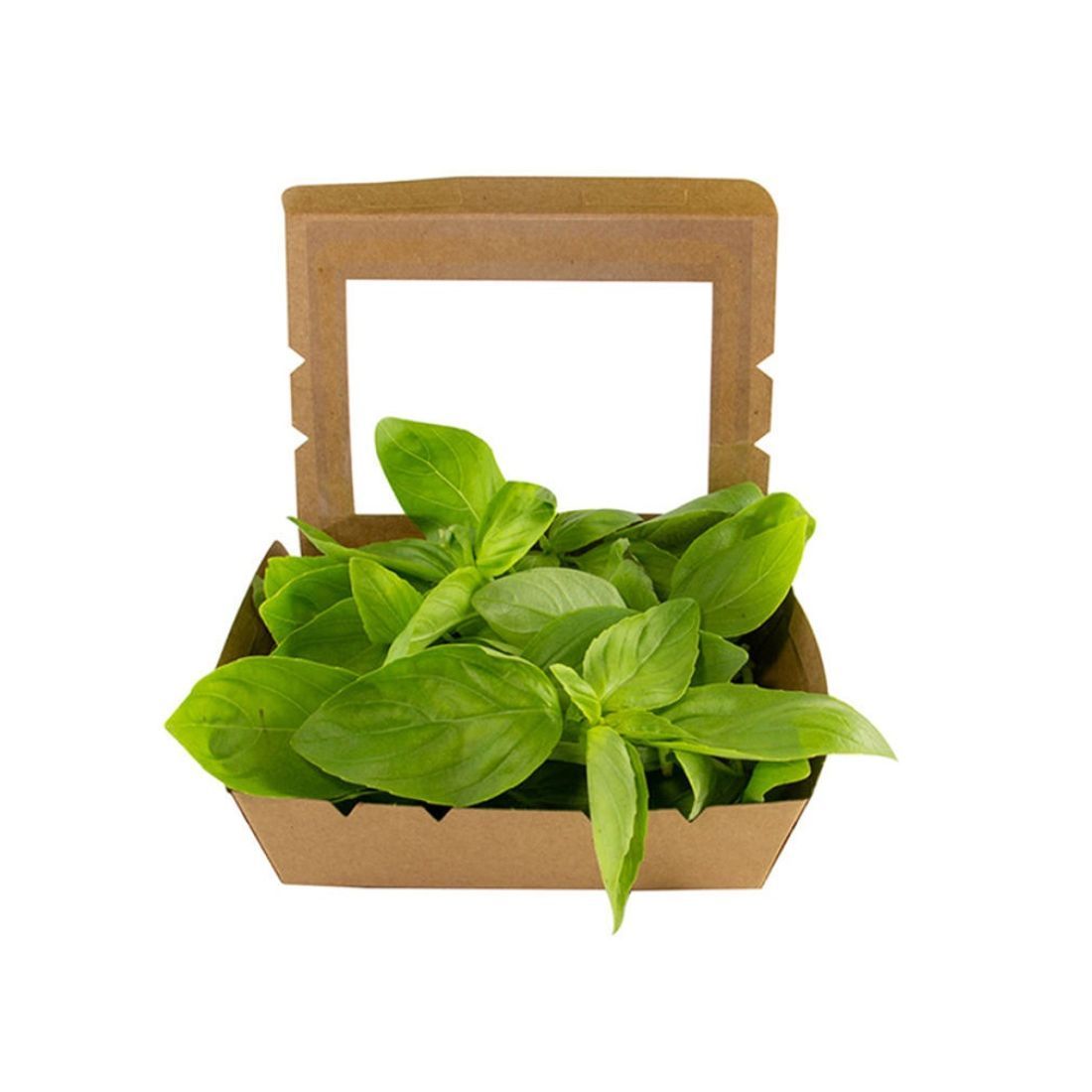 Basil Premium 20g