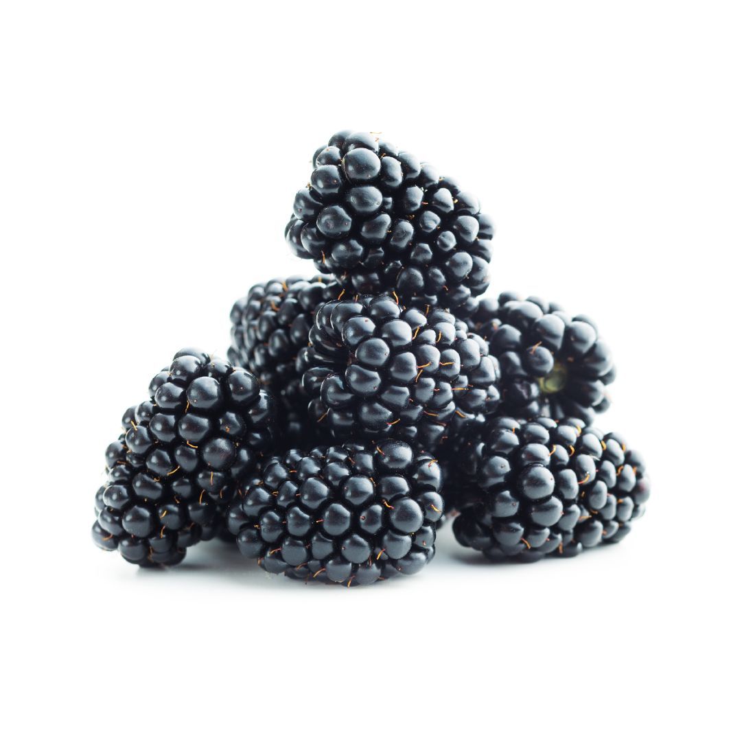 Blackberry 125g mixco