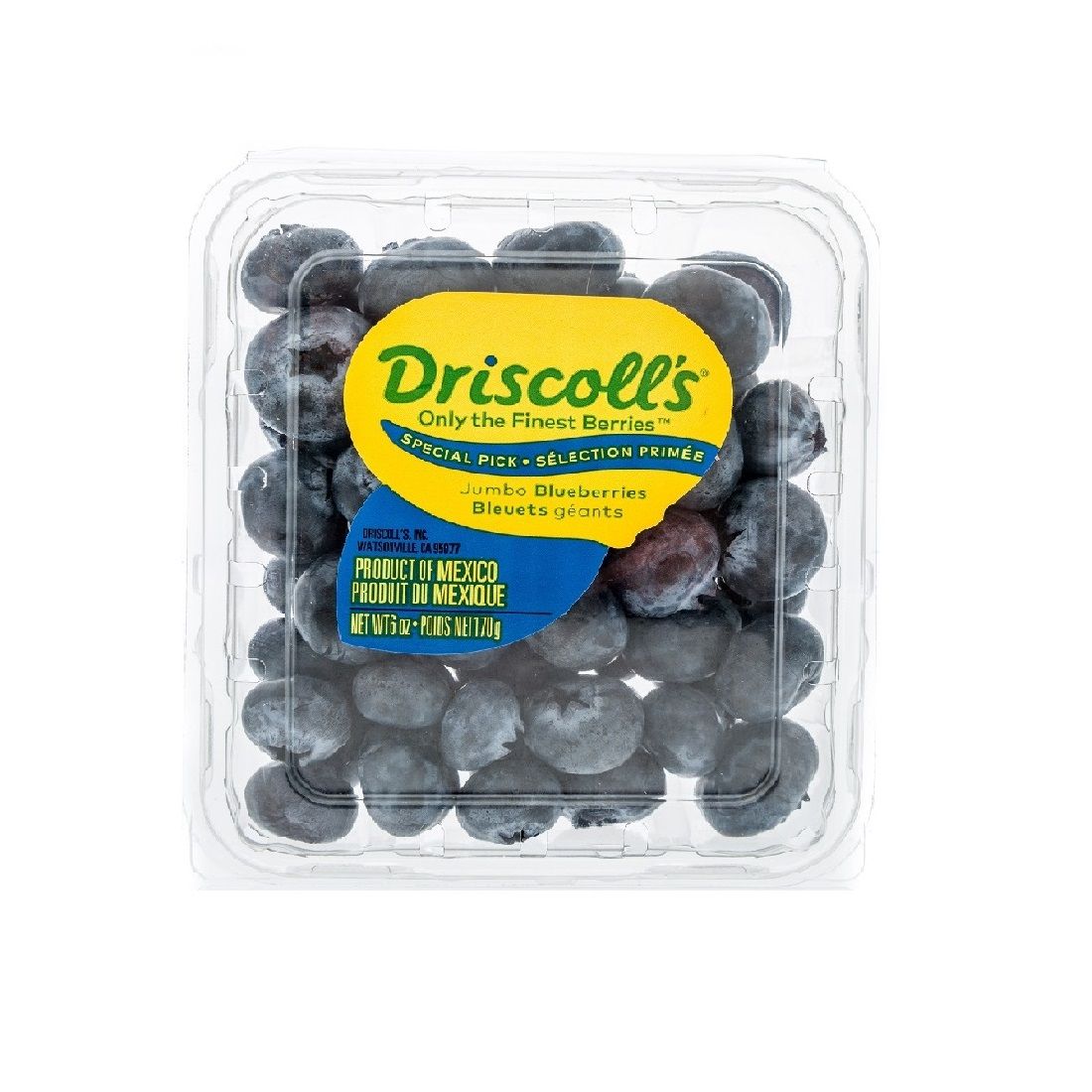 Blueberry Driscoll's 125g USA ๐บ๐ธ