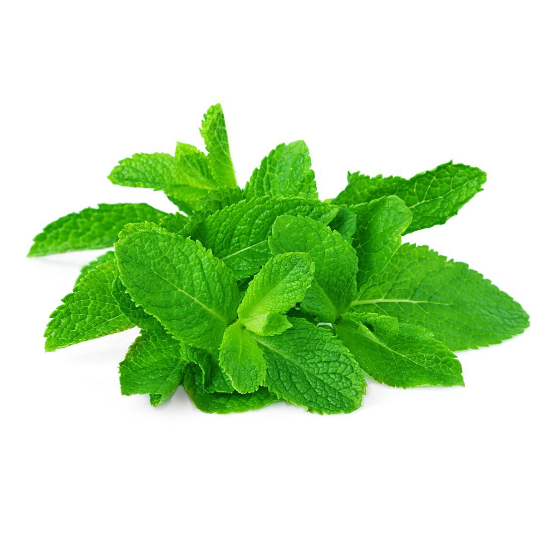 Mint Leaves Size: 200g