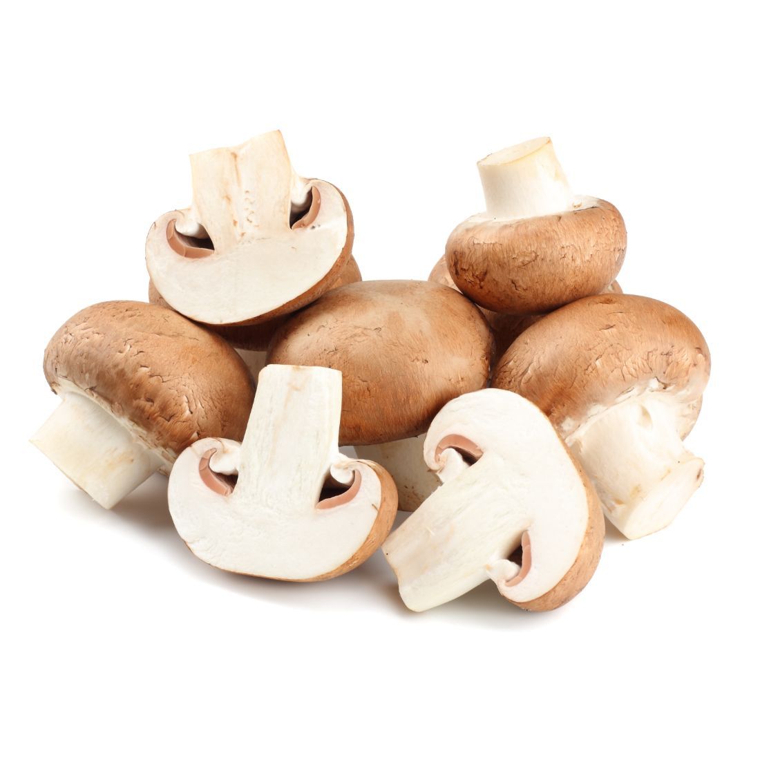 Mushroom Brown Size: 250g Holland π³π±