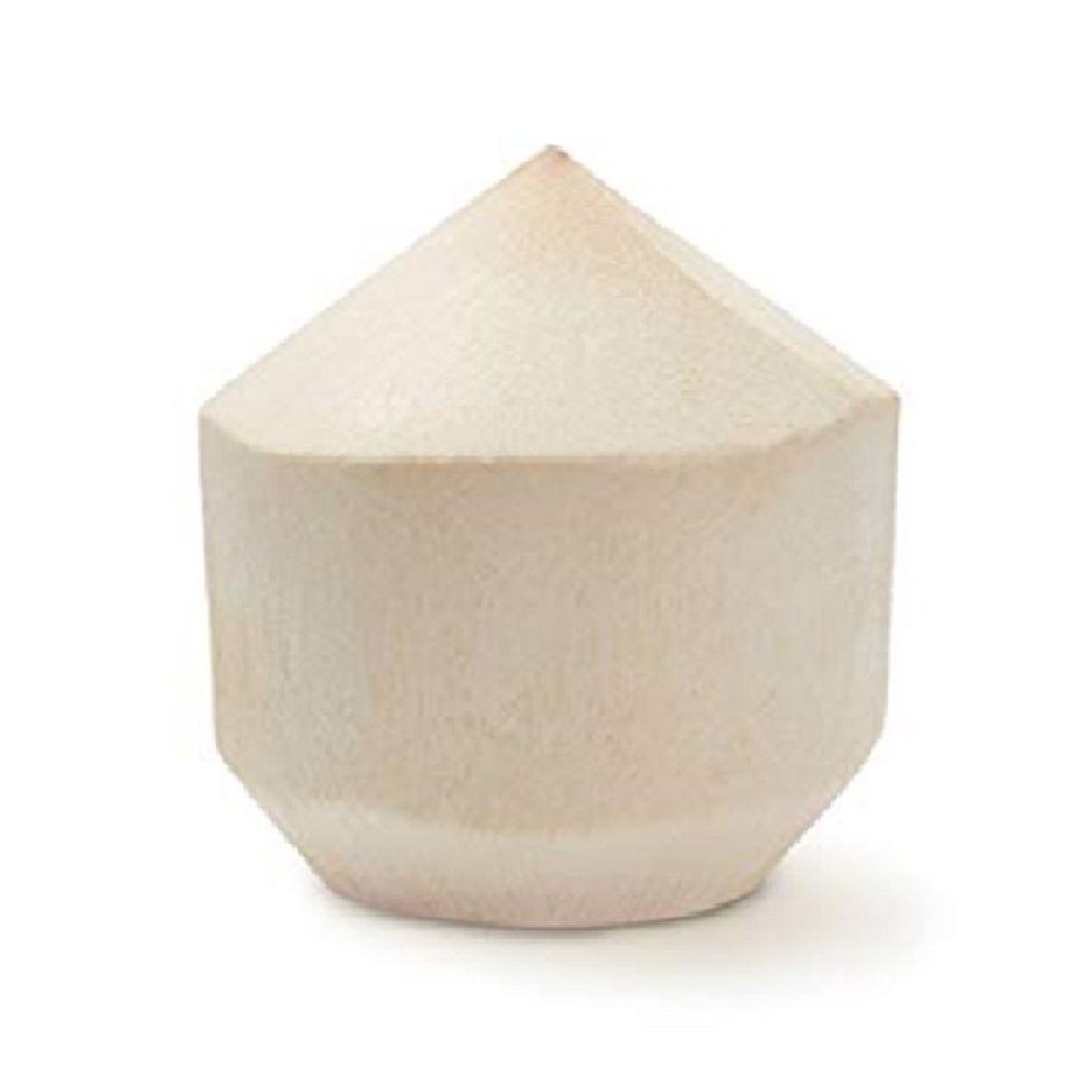 Coconut Tender Size: 1 piece Vietnam π»π³