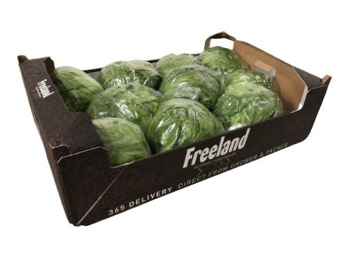 Iceberg lettuce Box 5 kg.