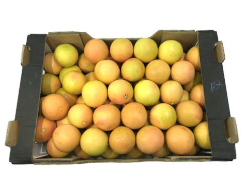 Grapefruit Box.  15 kg - (55-60 pcs per box)