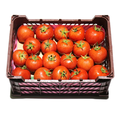 Tomato Premium Box Approx. 6kg. G C C