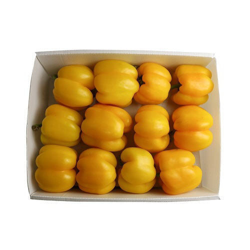 Capsicum Yellow Box 4 kg