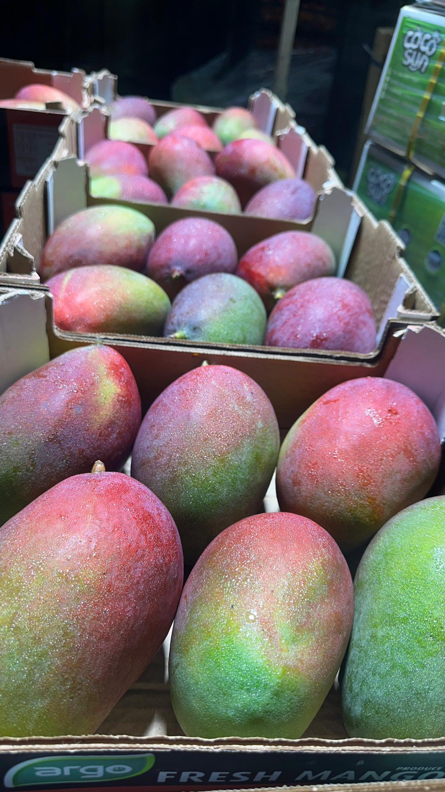 Mango (Tommy Atkins) premium quality  4.5 per box Brazil 🇧🇷