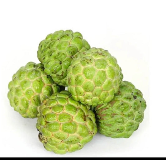 Custard Apple 1kg  by air Brazil 🇧🇷