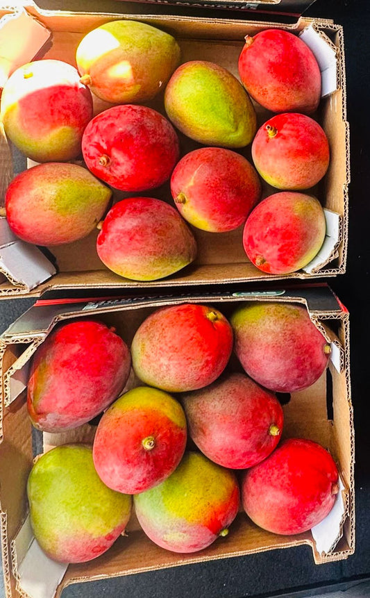 Mango palmer premium 4.5 kg per box  quality Brazil 🇧🇷