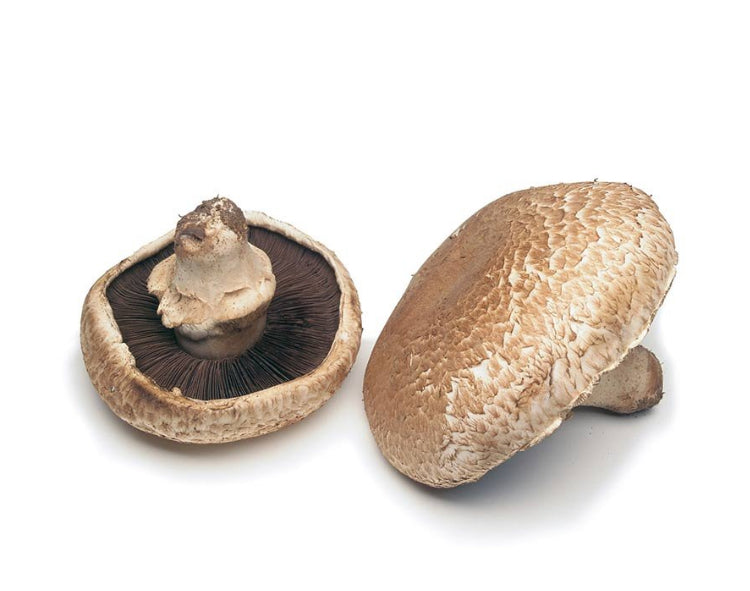 Mushroom Portabella

(Netherlands)🇳🇱 
Approx 2-3 piece per 500gm