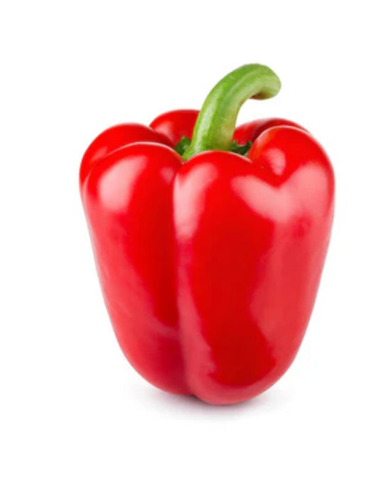 Capsicum Red 500G UAE