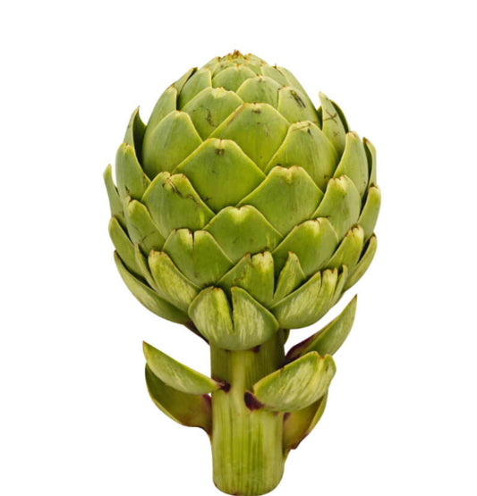 Artichoke Approx 2-3 pieces per kg france 🇫🇷