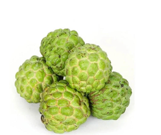 Custard apple 2.5 kg box India 🇮🇳
