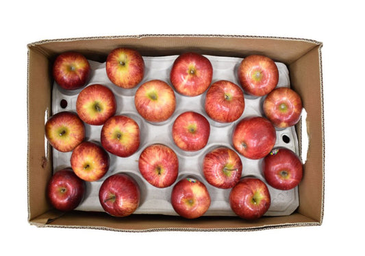 Apple royal gala 1 box 18 kg (Italy)🇮🇹