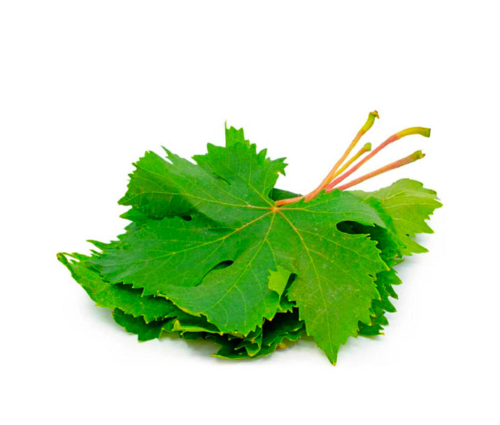 Grapes Leave
(Lebanon)🇱🇧 
Approx 250gm per packet