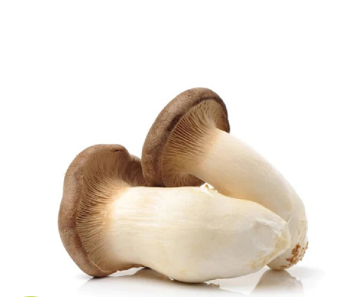 King Oyster Mushroom

(China)🇨🇳 
Approx 150 gm per packet