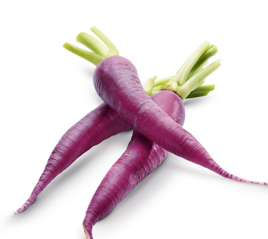 Mini Carrot Top Purple Approx 200 gm per packet 🇿🇦 South Africa