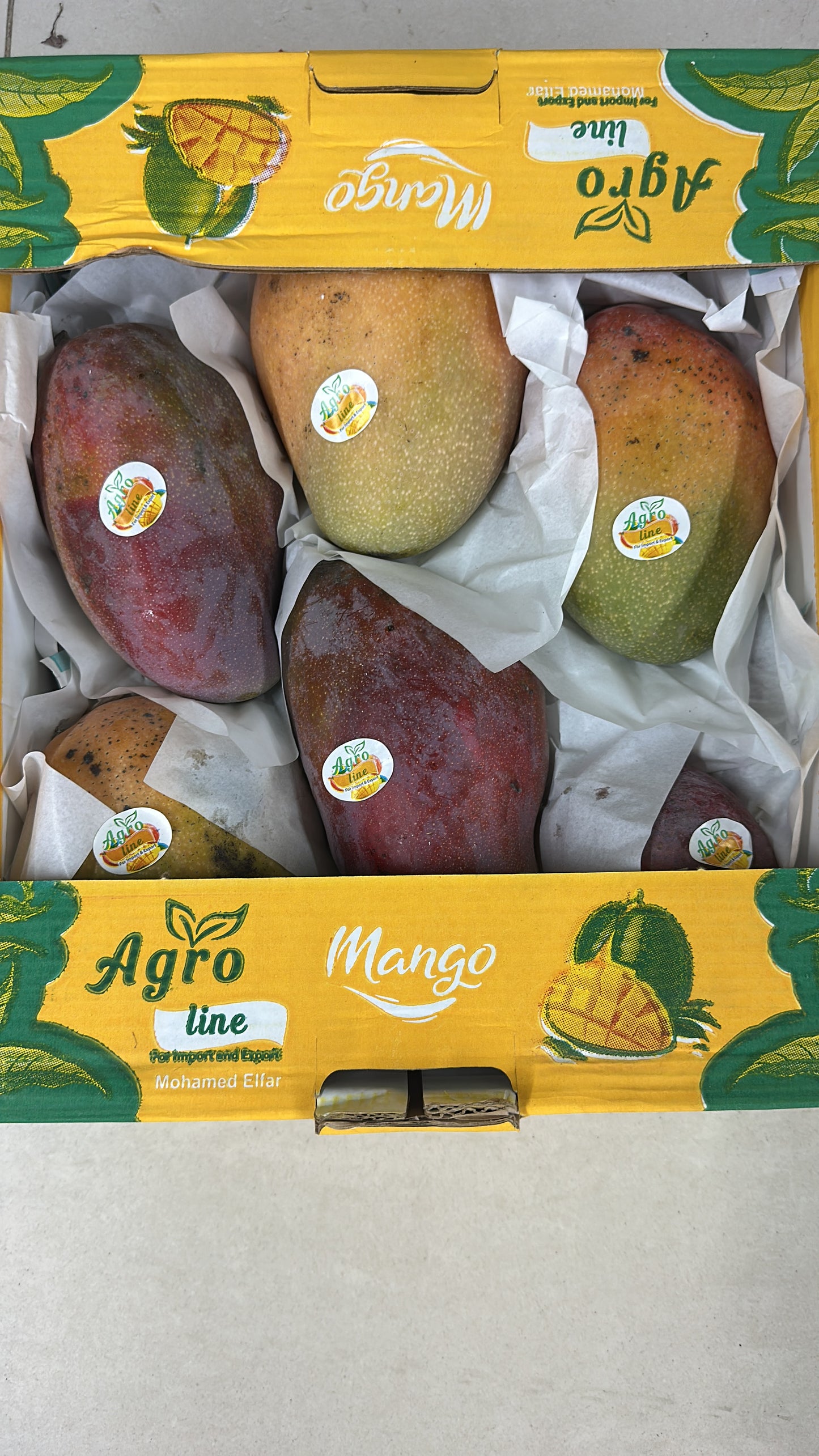 Mango Kent 3 kg Egypt 🇪🇬