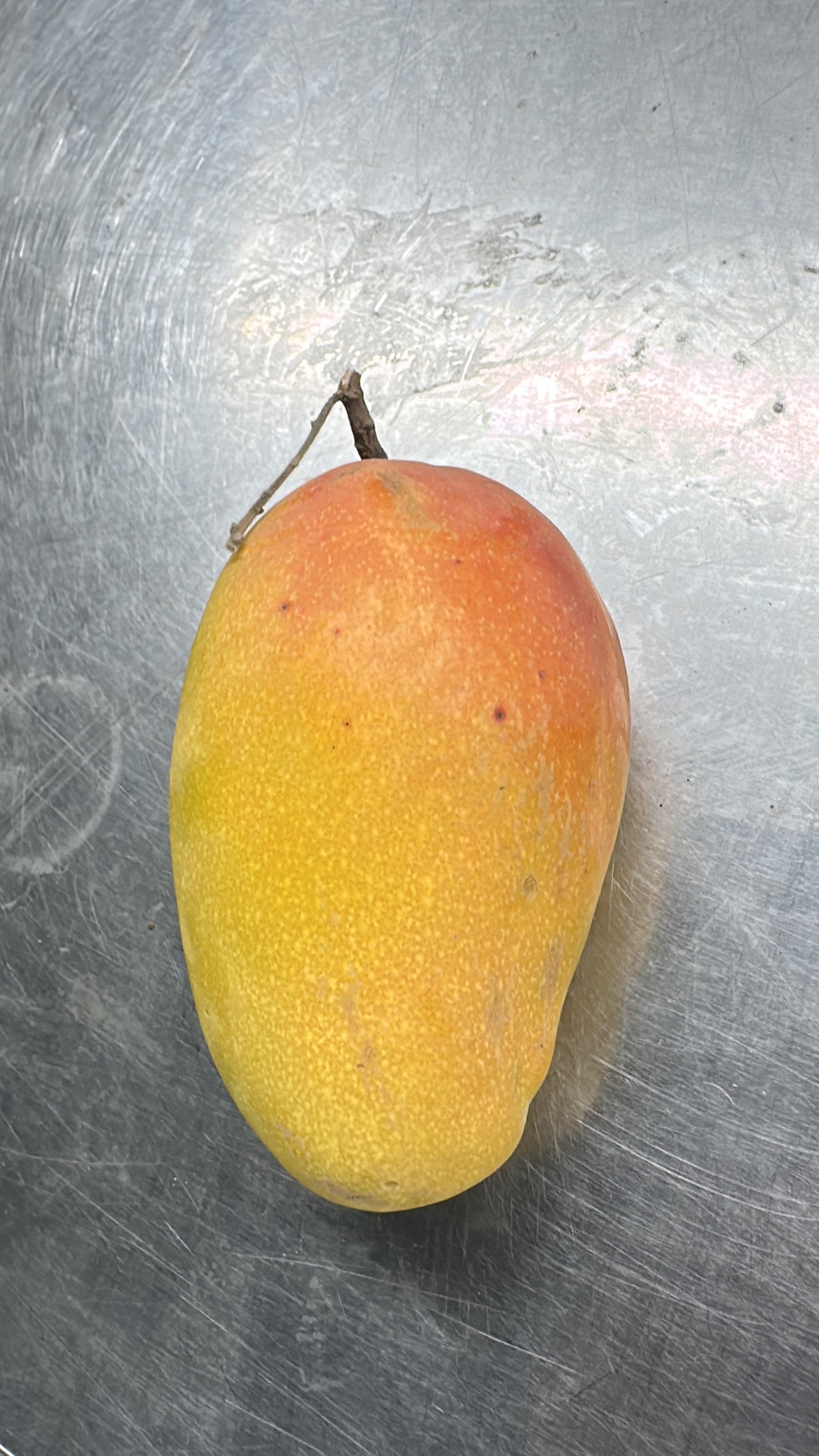 Mango Taimoor 1 box 2.2-2.4 kg Yemen 🇾🇪