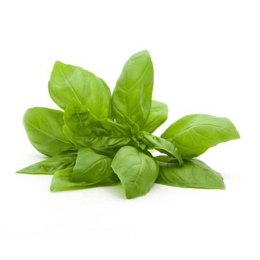 Basil Sweet (Thai) 100g