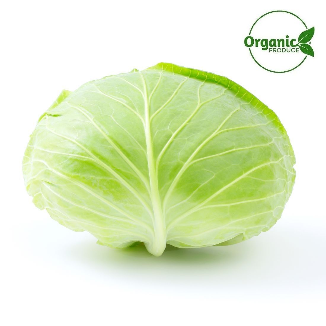 Cabbage Flat Organic  Size:  1 piece ~1Kg