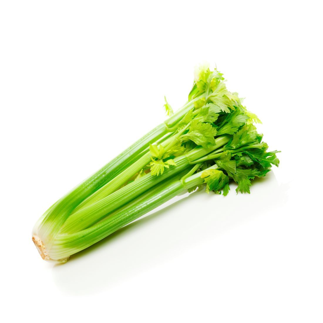 Celery Stick 1 kg  China