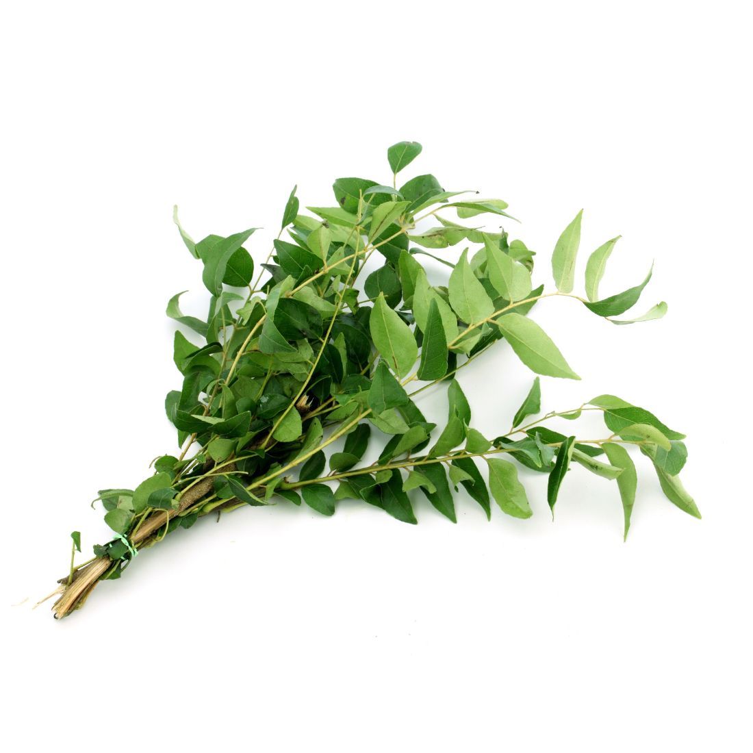 Curry Leaves   Size: 50g