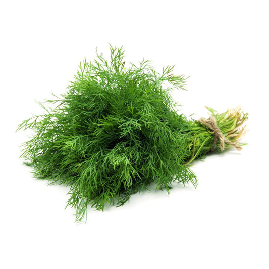 Dill Leaves 80-100g UAE