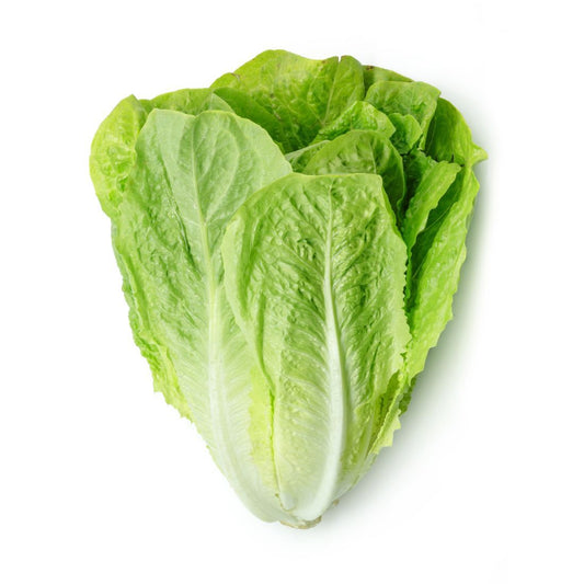 Lettuce Romaine 350-450g    Size: 1 piece