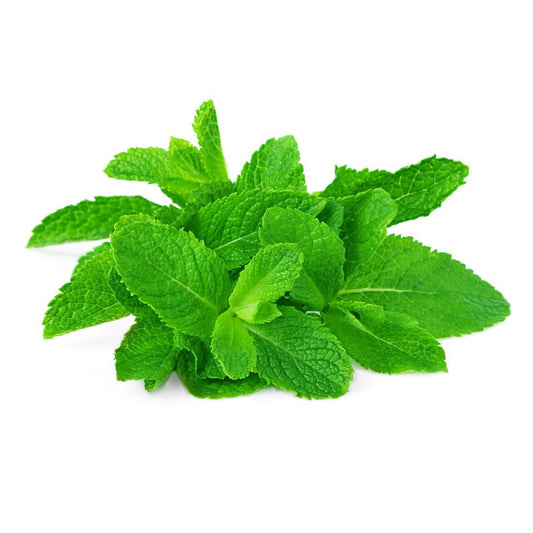 Mint Leaves  Size:  80g