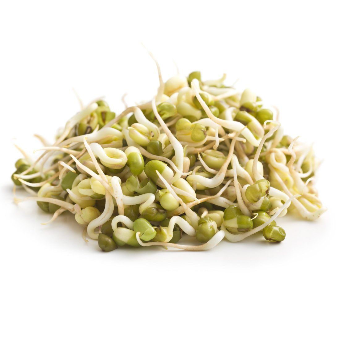 Moong Bean Sprouts. Size : 250g 1 Pack