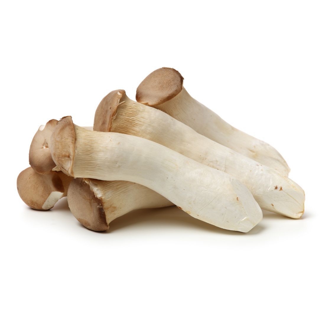 Mushroom  Eyringi  Size: 200g