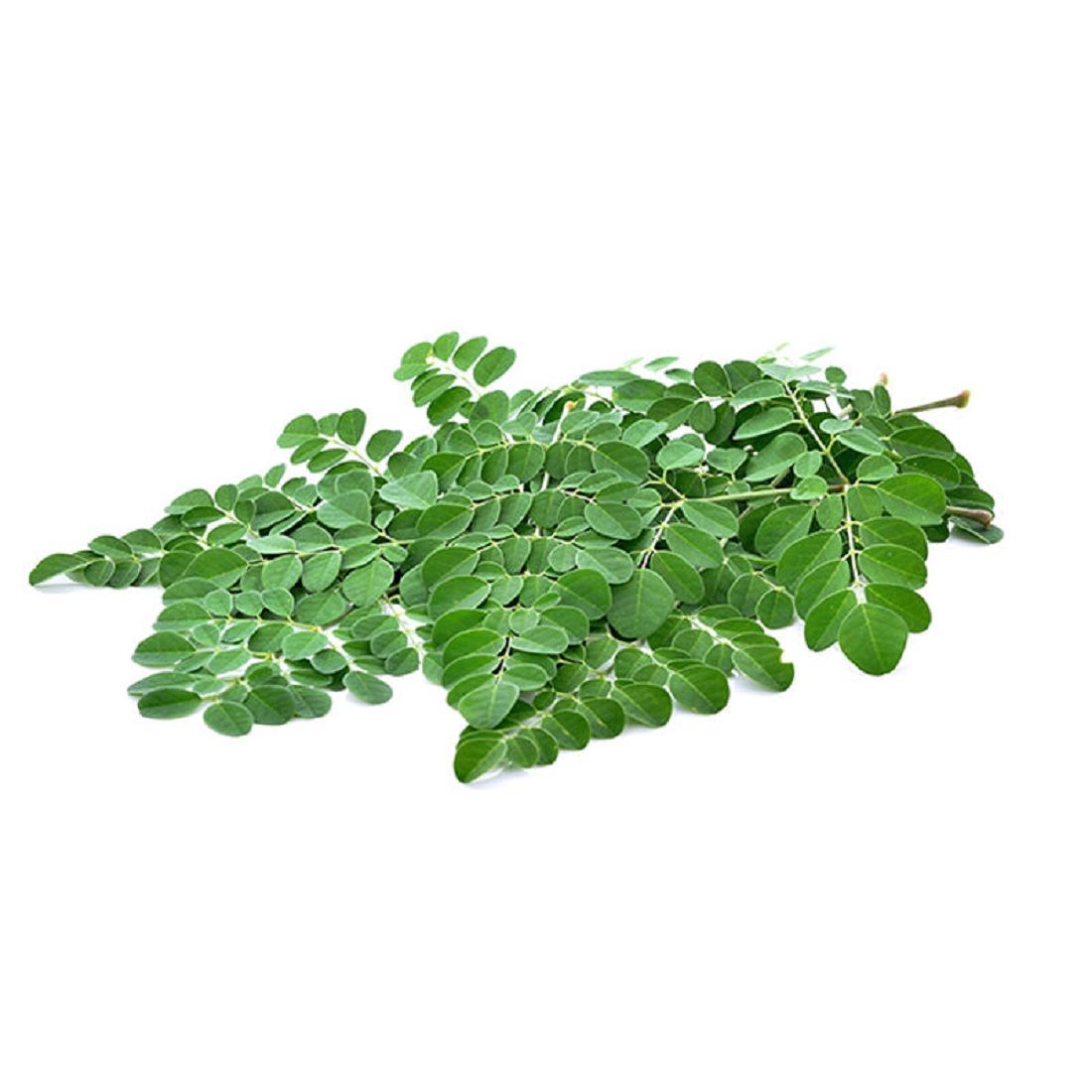 Drumstick Leaves (Moringa Leaves). Size: 1 pack  ~100-150g