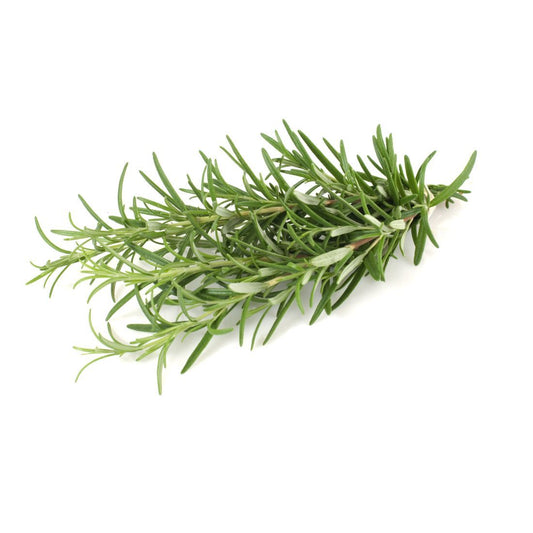 Rosemary  20g