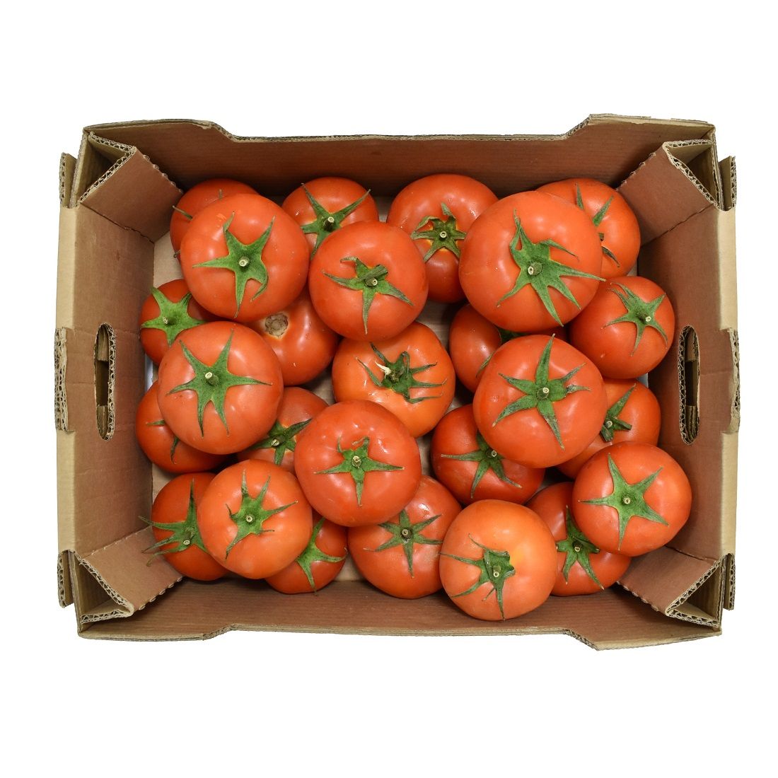 Tomato  5kg